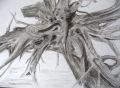Souche - Arboressences  (dessin)