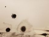 surprise 3 - DIVERS - dessin - encres...