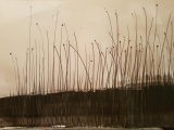 ael-cornelis - DIVERS - dessin - encres...